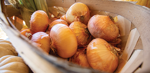 Sweet onions