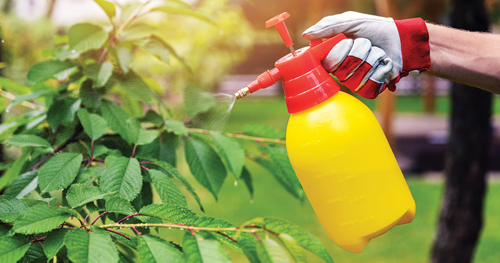 synthetic insecticides