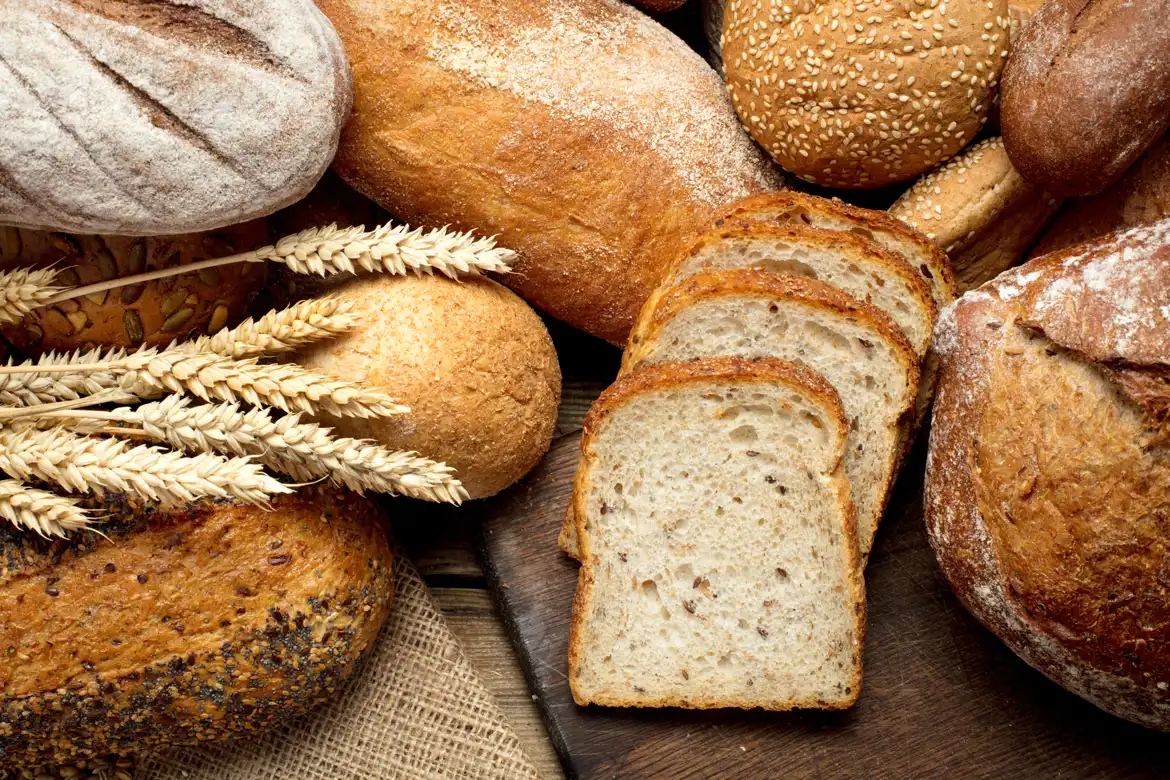 Amish Bread Starter