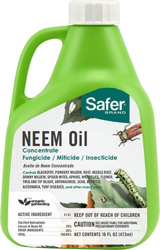 Neem Oil