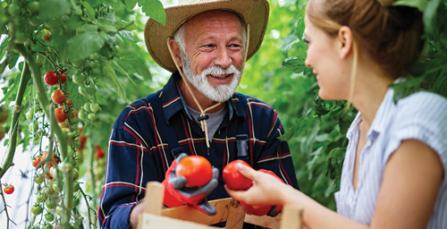 Family with tomatoes