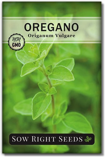 Oregano