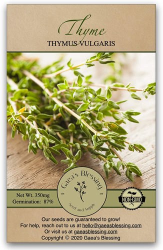 Thyme