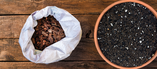 mulch the soil